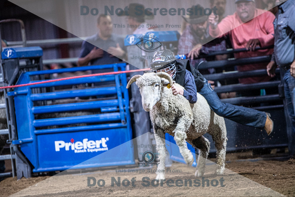10-205011-2020 North Texas Fair and rodeo denton muttin bustingseqn}