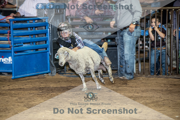 10-204838-2020 North Texas Fair and rodeo denton muttin bustingseqn}