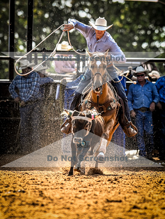 6-10-2021_PCSP rodeo_weatherford, Texass_Slack Steer Tripping_Pete Carr Rodeo_Joe Duty8502
