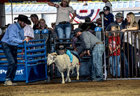 10-204804-2020 North Texas Fair and rodeo denton muttin bustingseqn}