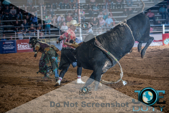 10-225359-2020 North Texas Fair and rodeo denton bulls first perfeqn}