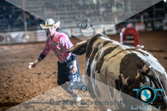 10-225557-2020 North Texas Fair and rodeo denton bulls first perfeqn}
