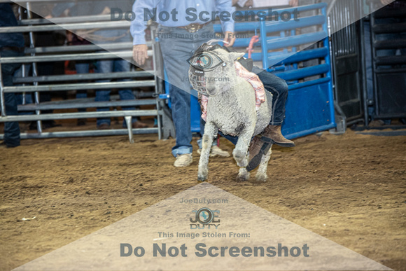 10-204817-2020 North Texas Fair and rodeo denton muttin bustingseqn}