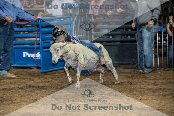 10-204839-2020 North Texas Fair and rodeo denton muttin bustingseqn}