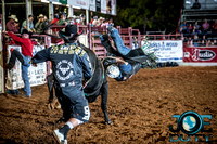 10-225296-2020 North Texas Fair and rodeo denton bulls first perfeqn}