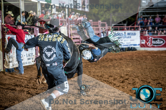 10-225296-2020 North Texas Fair and rodeo denton bulls first perfeqn}
