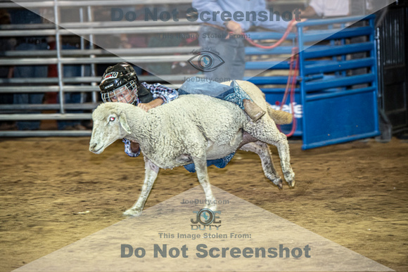 10-204840-2020 North Texas Fair and rodeo denton muttin bustingseqn}