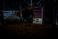 10-174390-2020 North Texas Fair and rodeo denton seqn}