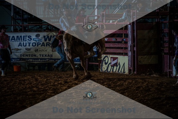 10-174390-2020 North Texas Fair and rodeo denton seqn}
