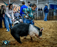 Wise County Youth Fair 2020