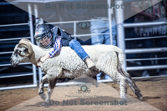 10-204971-2020 North Texas Fair and rodeo denton muttin bustingseqn}