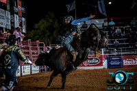 10-225179-2020 North Texas Fair and rodeo denton bulls first perfeqn}