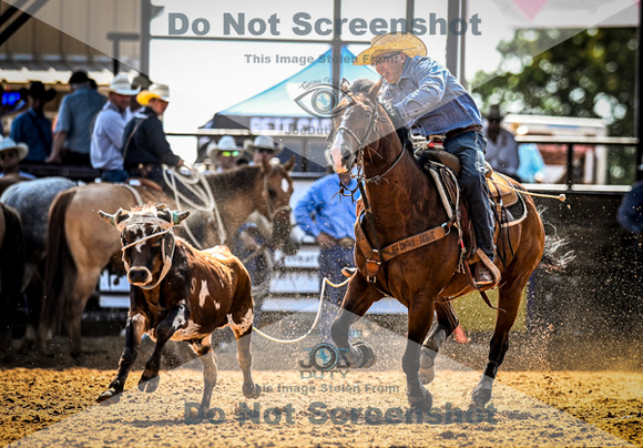 6-10-2021_PCSP rodeo_weatherford, Texass_Slack Steer Tripping_Pete Carr Rodeo_Joe Duty8523