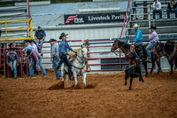 North Texas Fair and rodeo denton2280
