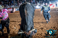 10-225254-2020 North Texas Fair and rodeo denton bulls first perfeqn}