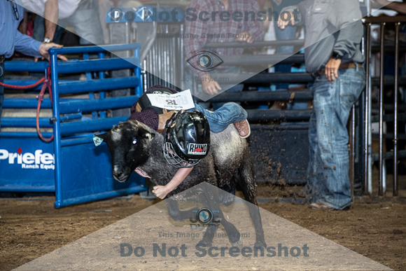 10-204861-2020 North Texas Fair and rodeo denton muttin bustingseqn}