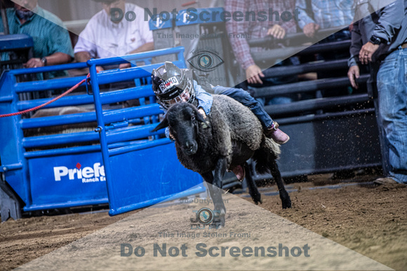 10-205007-2020 North Texas Fair and rodeo denton muttin bustingseqn}