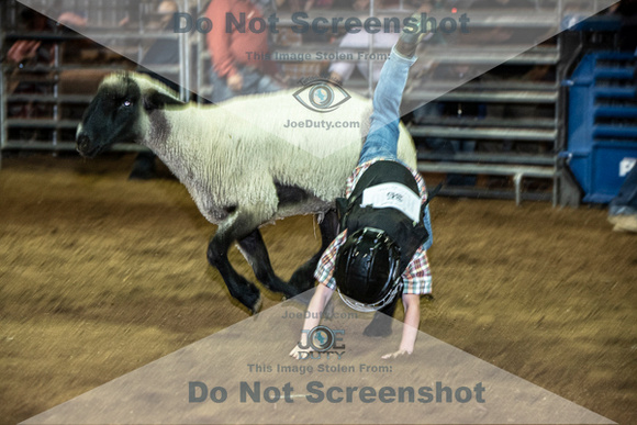 10-204918-2020 North Texas Fair and rodeo denton muttin bustingseqn}