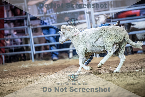10-205047-2020 North Texas Fair and rodeo denton muttin bustingseqn}