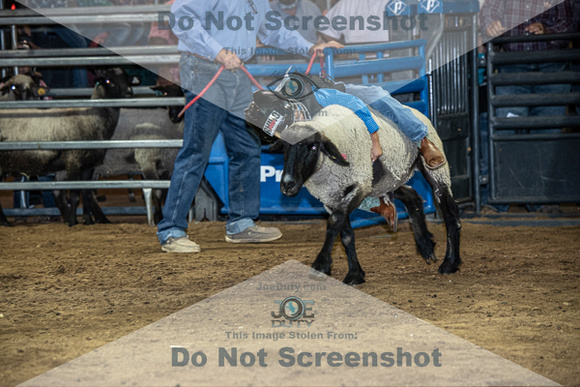 10-204856-2020 North Texas Fair and rodeo denton muttin bustingseqn}