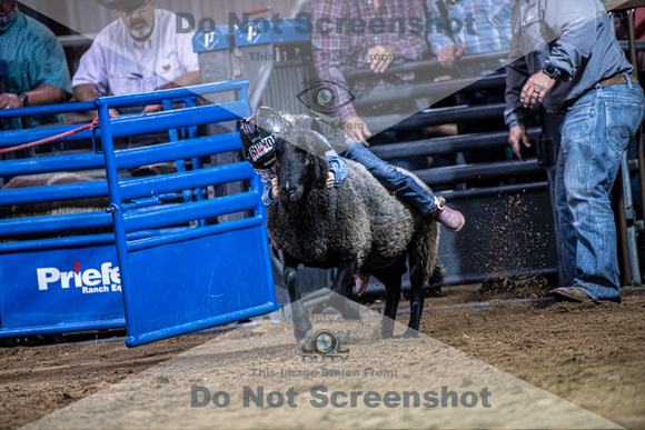 10-205006-2020 North Texas Fair and rodeo denton muttin bustingseqn}