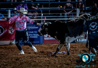 10-225236-2020 North Texas Fair and rodeo denton bulls first perfeqn}