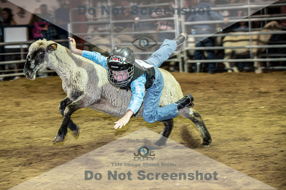 10-204866-2020 North Texas Fair and rodeo denton muttin bustingseqn}