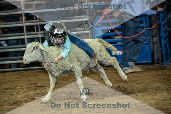 10-204847-2020 North Texas Fair and rodeo denton muttin bustingseqn}