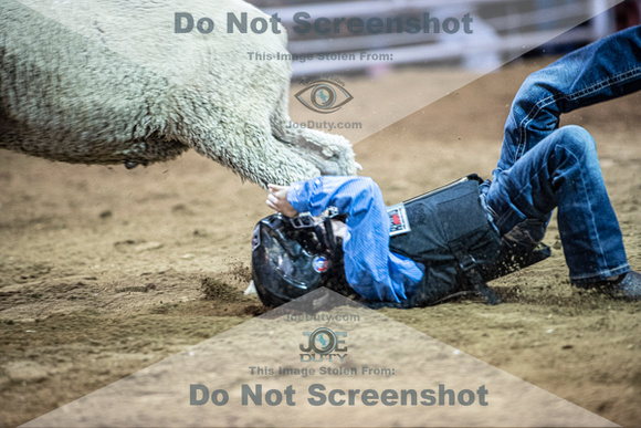10-204936-2020 North Texas Fair and rodeo denton muttin bustingseqn}