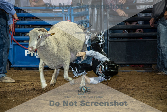 10-204894-2020 North Texas Fair and rodeo denton muttin bustingseqn}