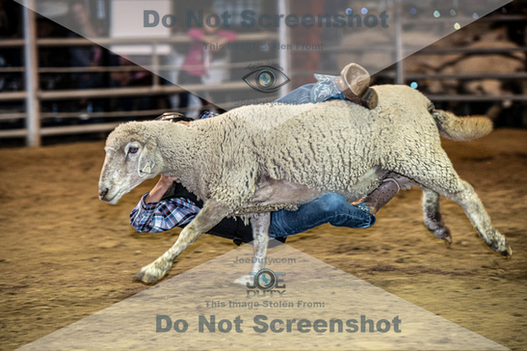 10-204842-2020 North Texas Fair and rodeo denton muttin bustingseqn}