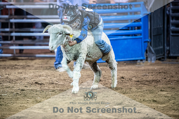 10-204932-2020 North Texas Fair and rodeo denton muttin bustingseqn}
