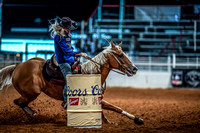 North Texas Fair and rodeo denton3387