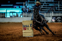 North Texas Fair and rodeo denton3381