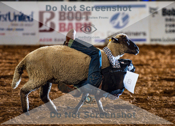 10-22-2020-North Texas Fair Rodeo-Bulls Perf1-Lisa7874