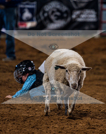 10-22-2020-North Texas Fair Rodeo-Bulls Perf1-Lisa7887