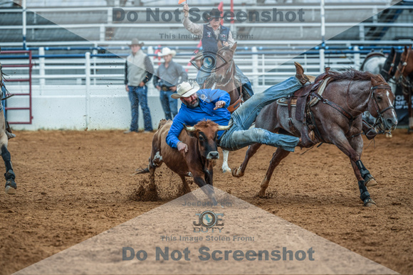 North Texas Fair and rodeo denton2095