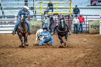 North Texas Fair and rodeo denton2081