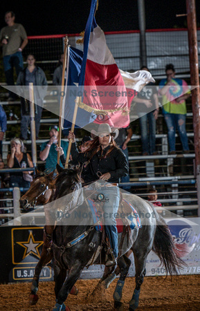 10-225106-2020 North Texas Fair and rodeo denton bulls first perfeqn}