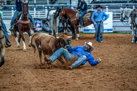 North Texas Fair and rodeo denton2101