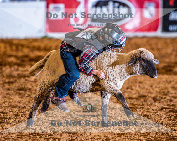 10-22-2020-North Texas Fair Rodeo-Bulls Perf1-Lisa7891