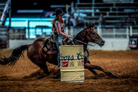North Texas Fair and rodeo denton3395