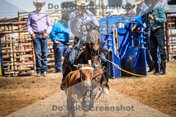 _JDZ0306-03-25-2022_Huntsville rodeo_Steer Tripping_JoeDuty-01480