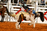 _JDZ16232-23-23 PatriotJR_BAREBACK_Joe Duty-11391