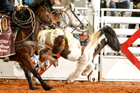 _JDZ16352-23-23 PatriotJR_BAREBACK_Joe Duty-11403