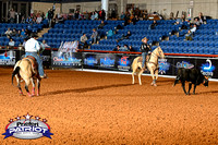OpenAnyAge_Team Roping 30000 ROUND 5 SHORT GO