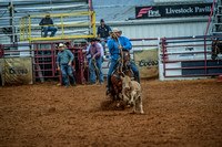 North Texas Fair and rodeo denton2295