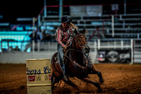 North Texas Fair and rodeo denton3399