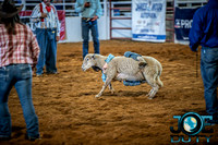 10-225505-2020 North Texas Fair and rodeo denton bulls first perfeqn}