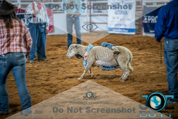 10-225505-2020 North Texas Fair and rodeo denton bulls first perfeqn}